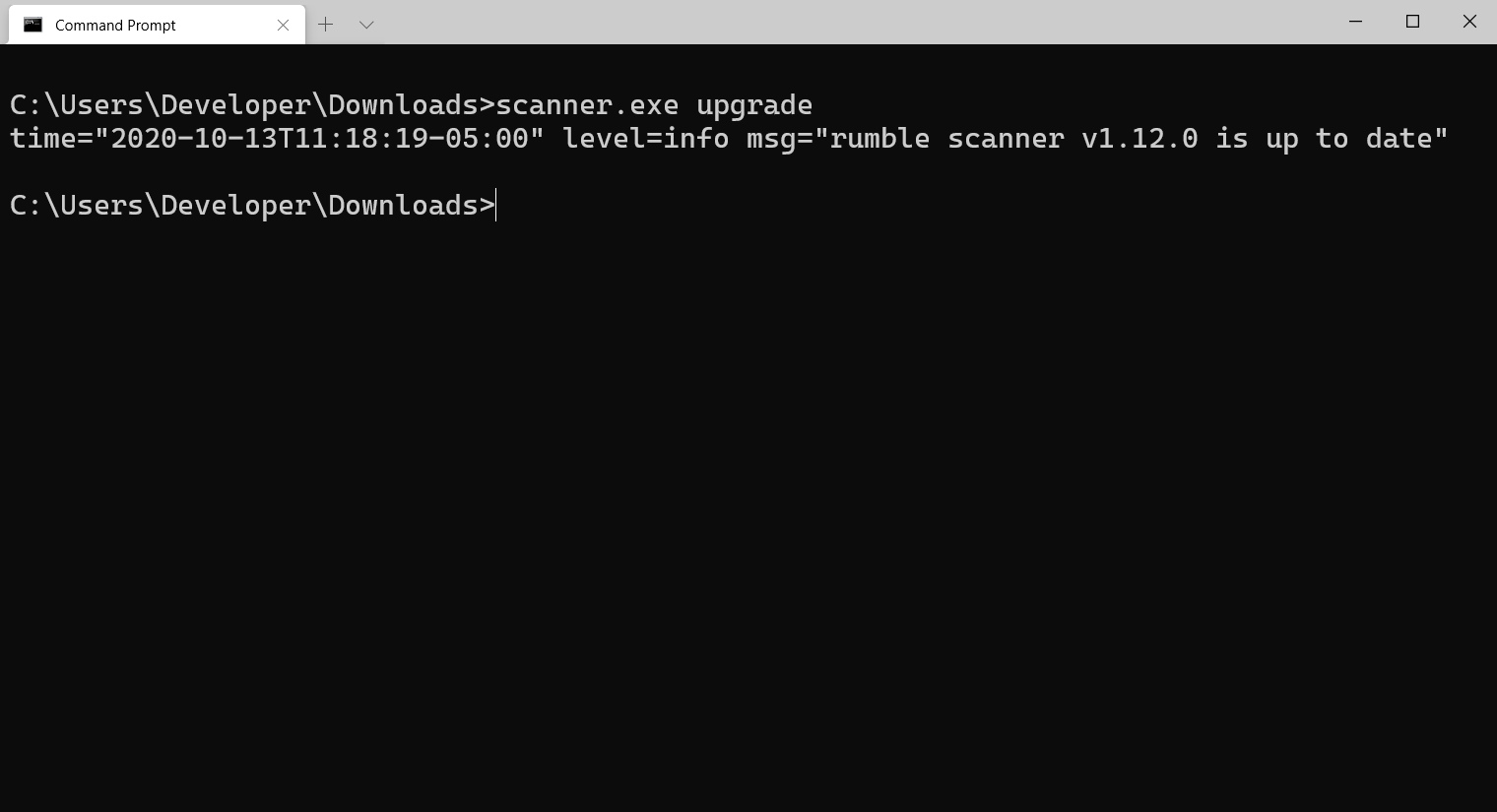 Screenshot of Rumble Scanner Upgrade